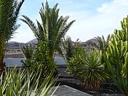 Jard&iacute;n