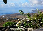 Vista por la isla