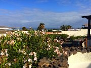 jard&iacute;n
