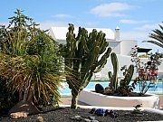 Jard&iacute;n