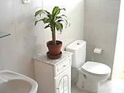 ba&ntilde;o