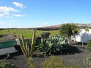 Jard&iacute;n