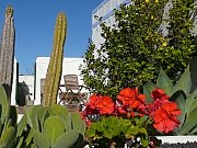 jard&iacute;n