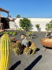 jard&iacute;n