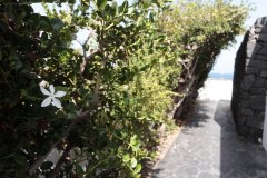 jard&iacute;n